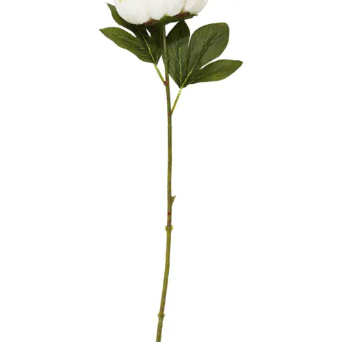 Vara de hojas verdes