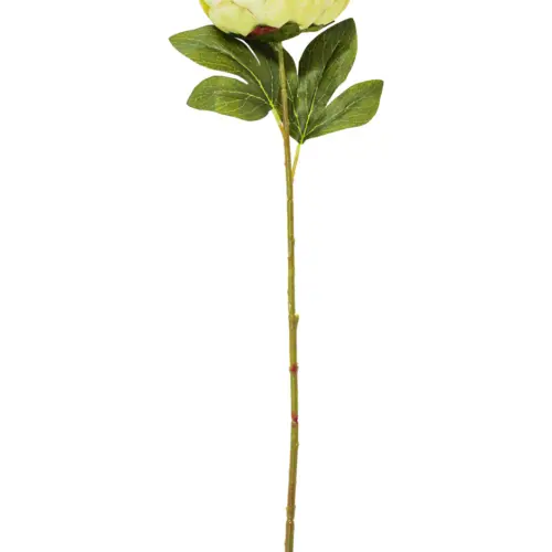 Vara de hojas verdes