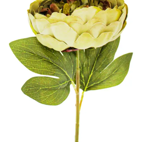 Vara de hojas verdes