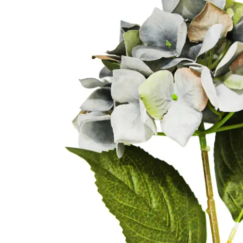 Vara de flor hortensia