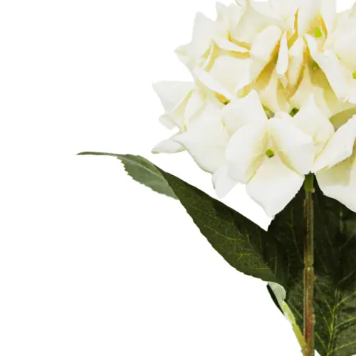 Vara de flor hortensia