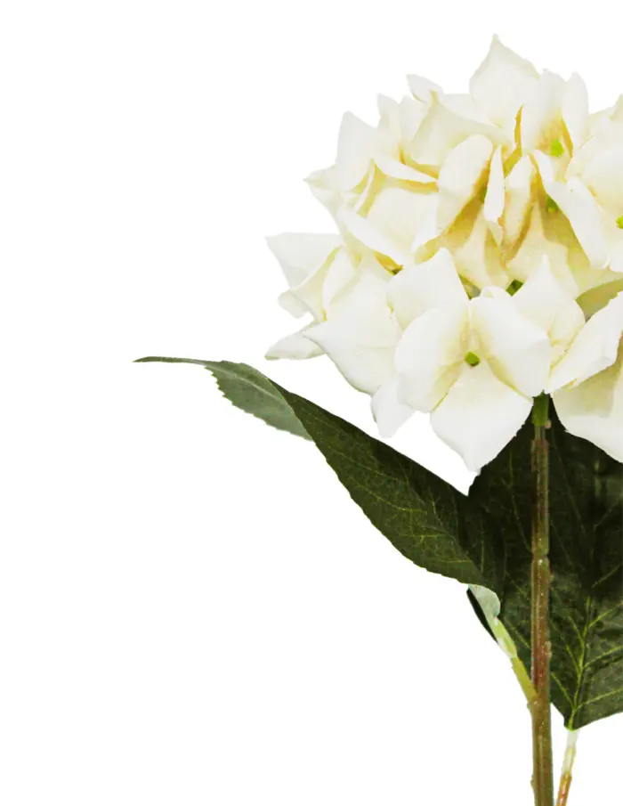 Vara de flor hortensia - Image 2