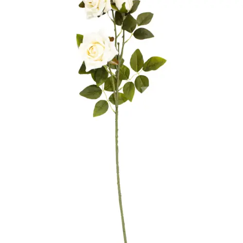 Vara con 2 rosas