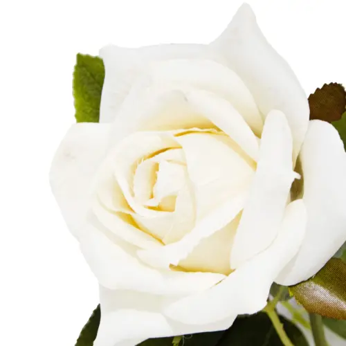 Vara con 2 rosas
