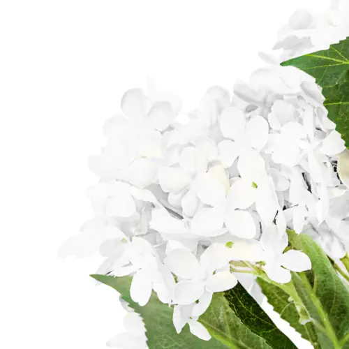 Ramo con flores de hortensias blancas de 68cm