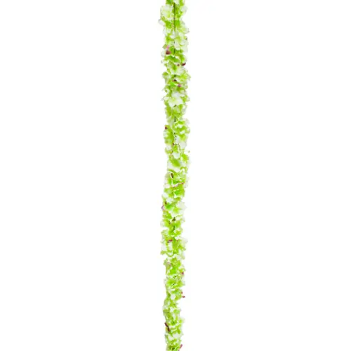 Tira de flores verdes