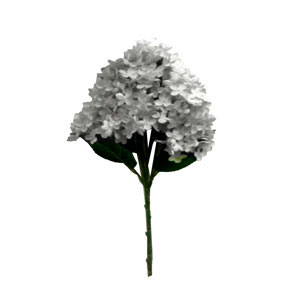 Ramo de hortensias blancas de 50cm
