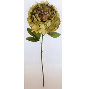 Vara de flor Peoina verde de 56cm