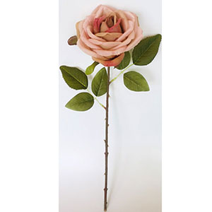 Vara de Rosa durazno de 51cm