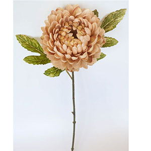 Vara de flor Caléndula beige de 50cm
