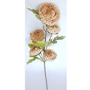 Vara de 5 flores Caléndula beige de 49cm