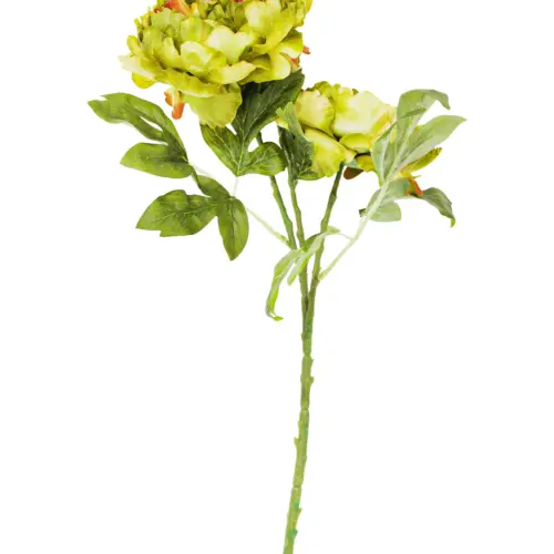 Ramo de flor de peonia artificial verde 