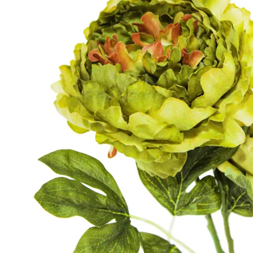 Ramo de flor de peonia artificial verde 