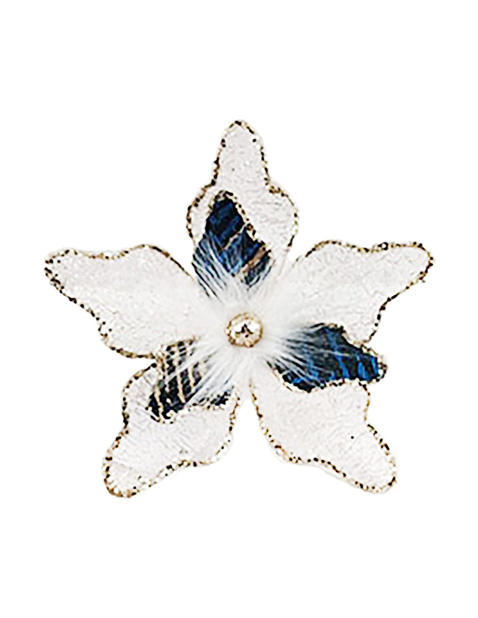 022032779055-galerias el triunfo