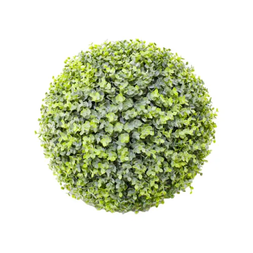Esfera  de eucalipto