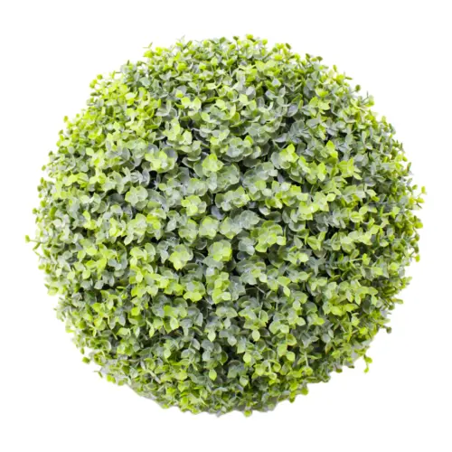 Esfera  de eucalipto