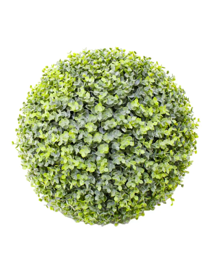Esfera  de eucalipto - Image 2