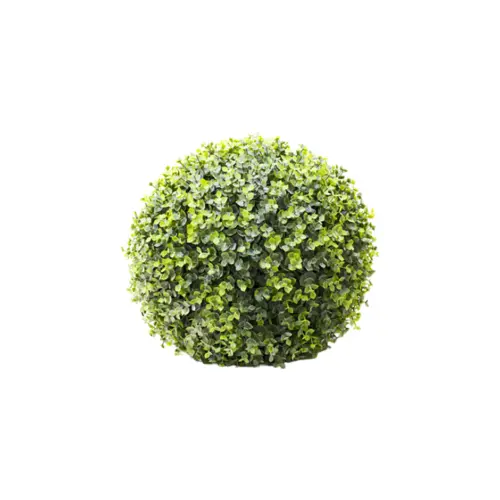 Esfera  de eucalipto