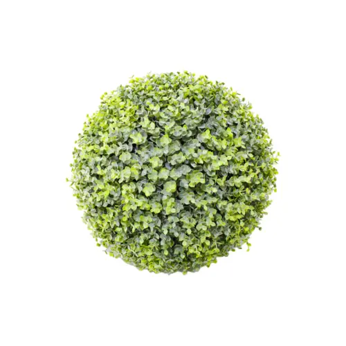 Esfera  de eucalipto