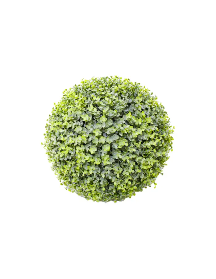 Esfera  de eucalipto - Image 2