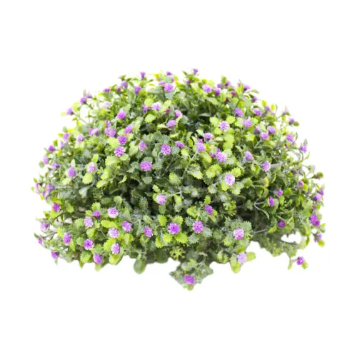 Esfera  de alcaravea  con flores moradas p/ maceta de 28cm