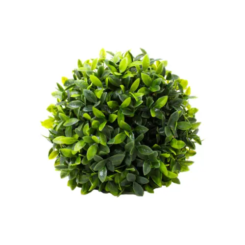 Esfera de follaje verde