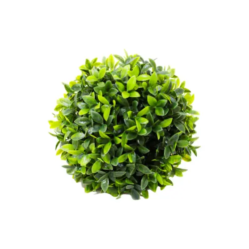 Esfera de follaje verde