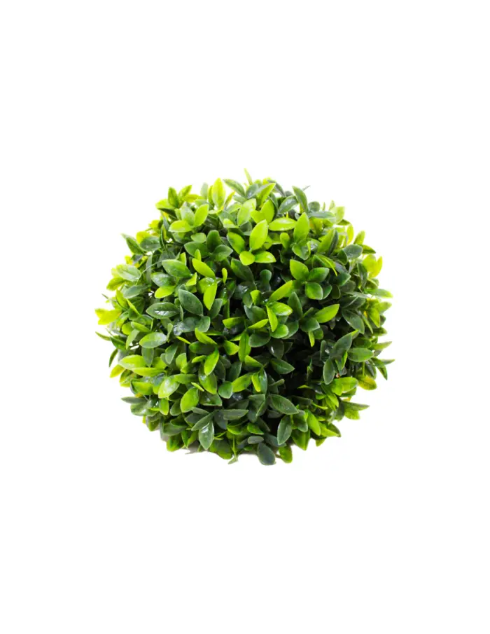 Esfera de follaje verde - Image 2