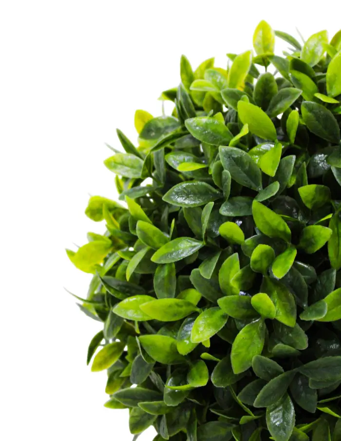 Esfera de follaje verde - Image 3