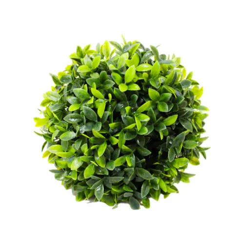 Esfera de follaje verde