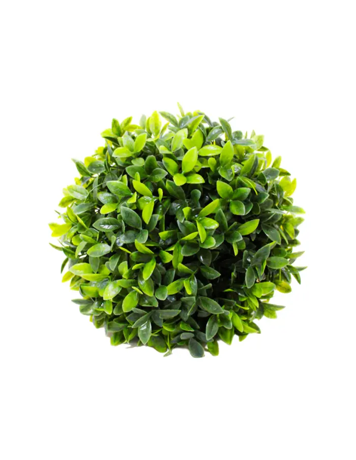 Esfera de follaje verde - Image 2