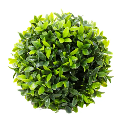 Esfera de follaje verde