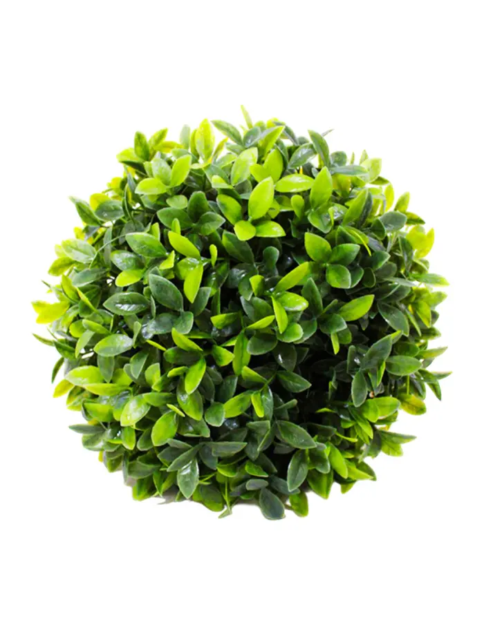 Esfera de follaje verde - Image 2