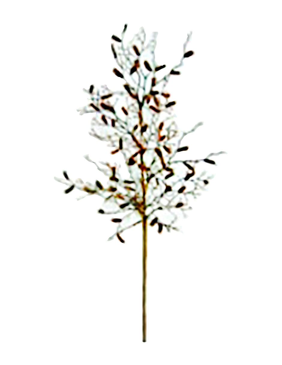 040907904394-galerias el triunfo