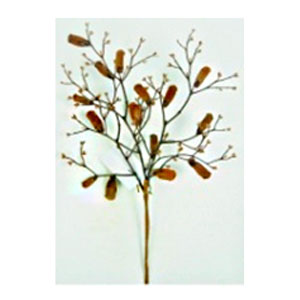 Pick de follaje de plastico imitacion ramas cafe de 40.5cm