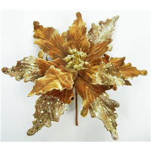 040907904414-galerias el triunfo