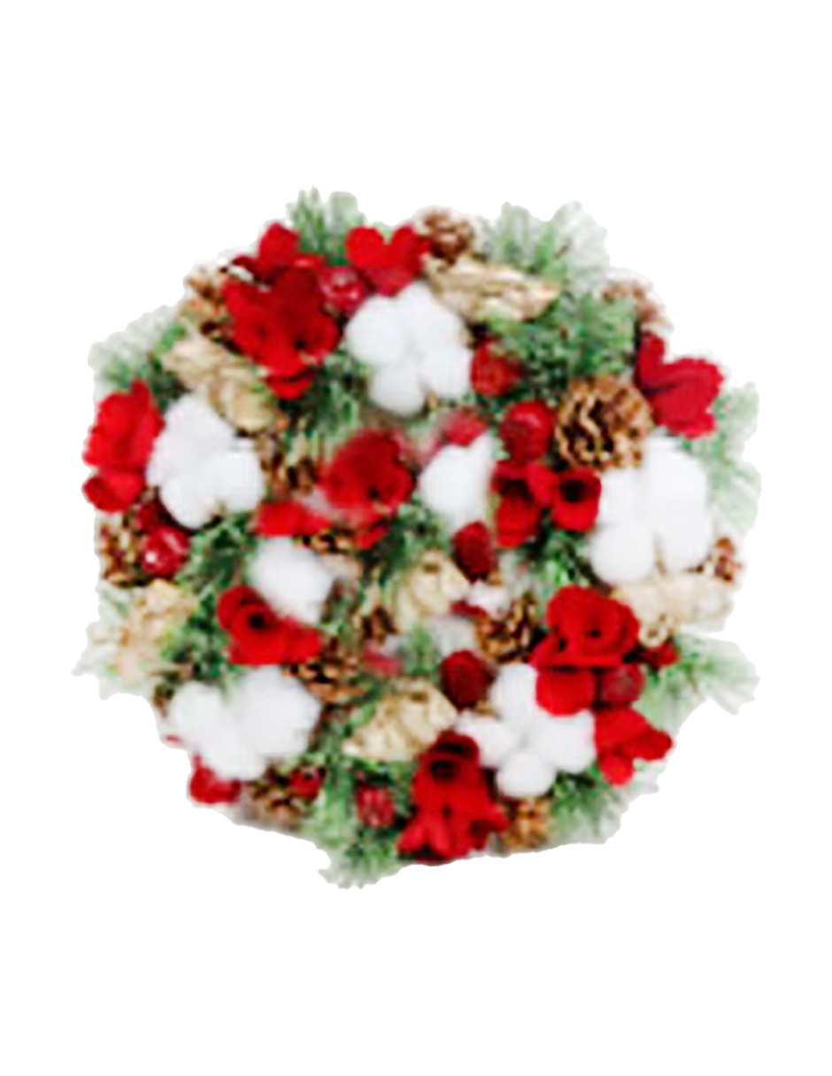 049072649093-galerias el triunfo