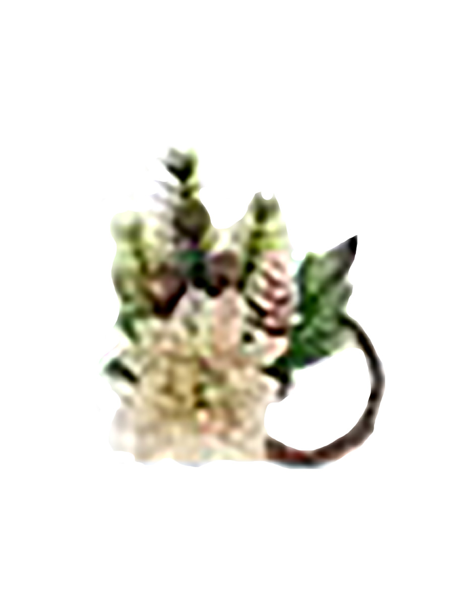 049072724236-galerias el triunfo