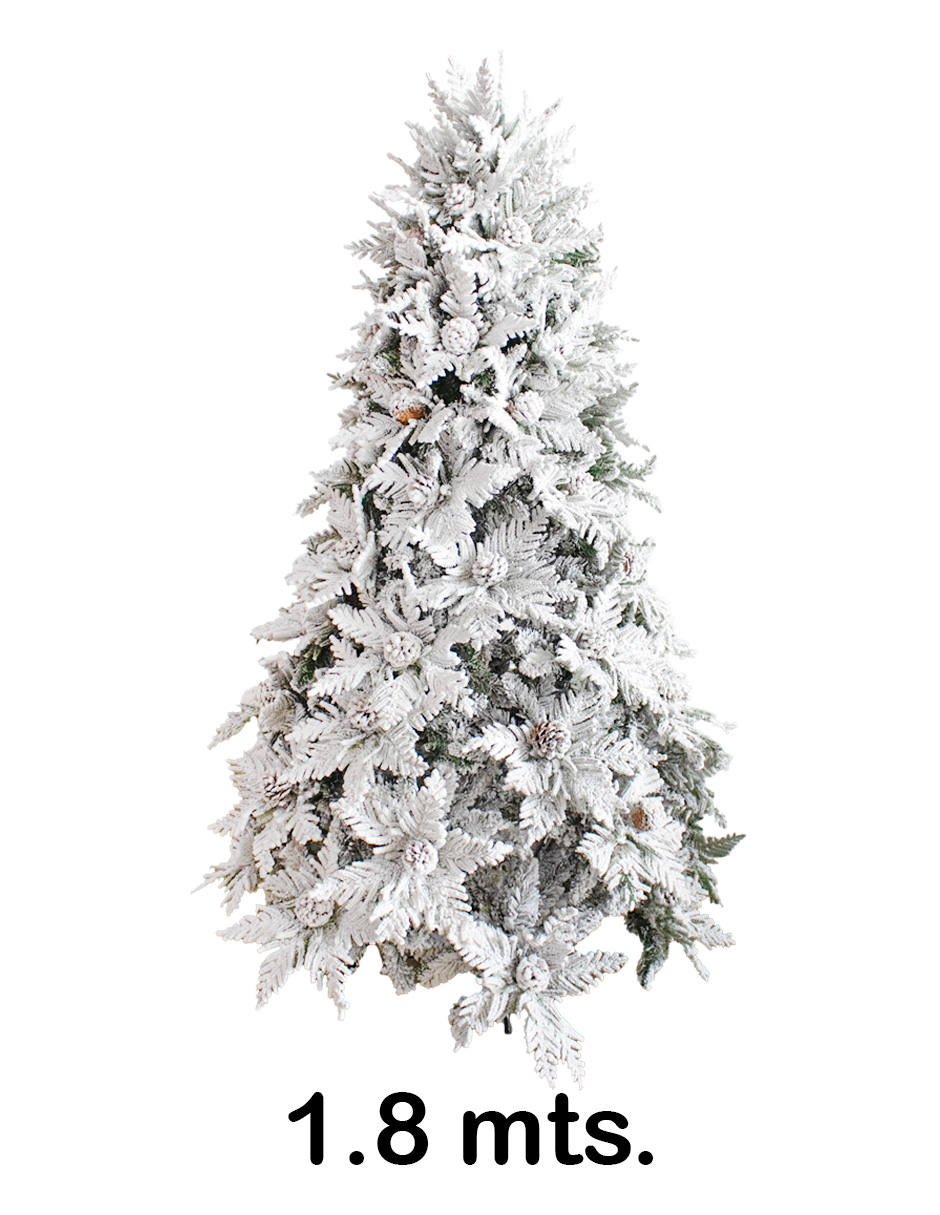 049072822000-galerias el triunfo