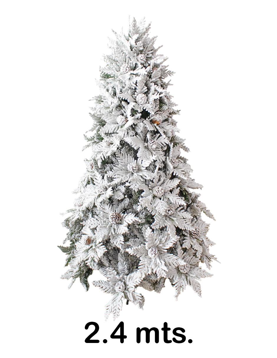 049072822001-galerias el triunfo