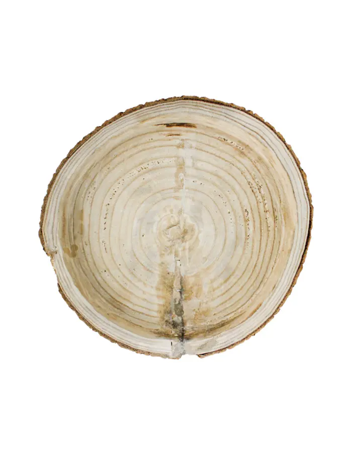 Charola redonda de madera diseño tronco de 28x28x4cm - Image 3