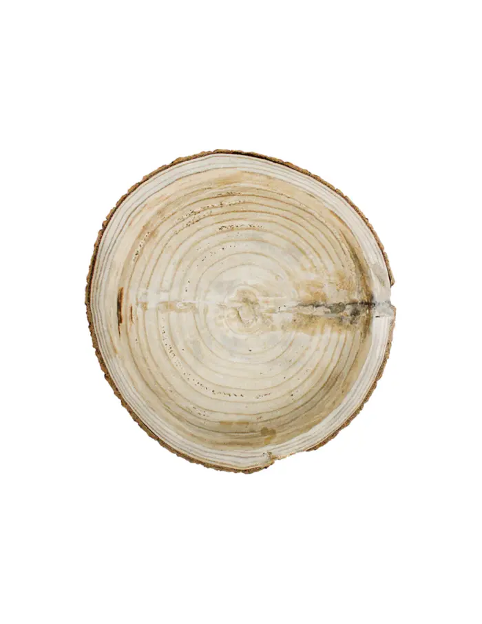Charola redonda de madera diseño tronco de 20x20x3cm - Image 3