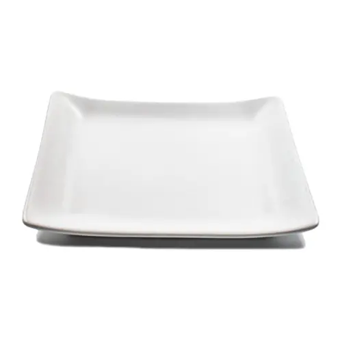 Plato de porcelana rectangular