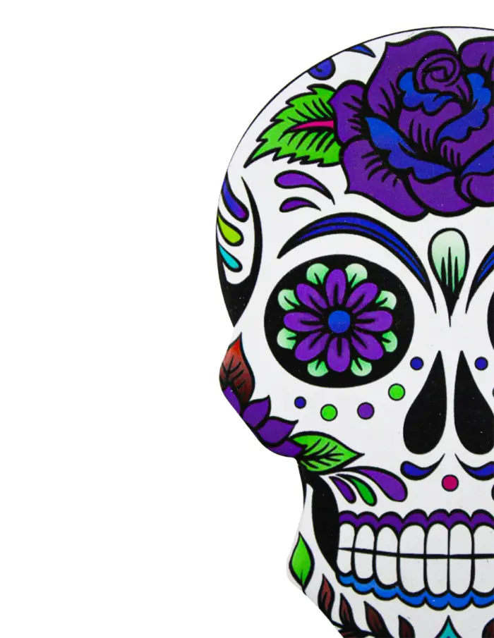 Juego de 4 portavasos diseño Calaveras de colores de 9x12.5cm - Image 3