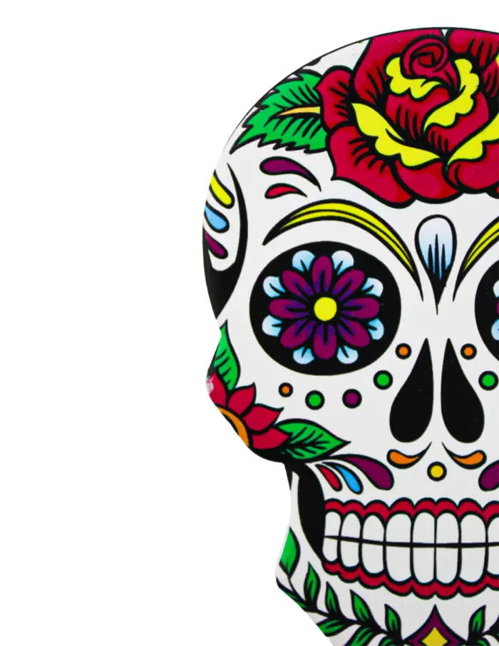 Juego de 4 portavasos diseño Calaveras de colores de 9x12.5cm - Image 5