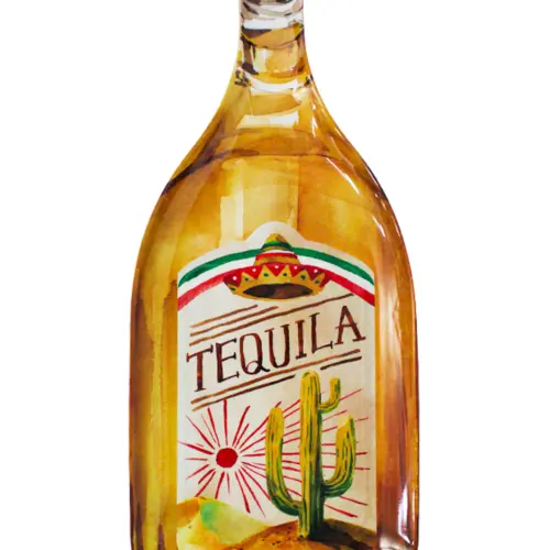 Plato de melamina diseño botella de tequila de51x22x2.7cm
