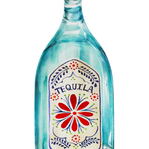Plato de melamina azul diseño botella de tequila de51x22x2.7cm