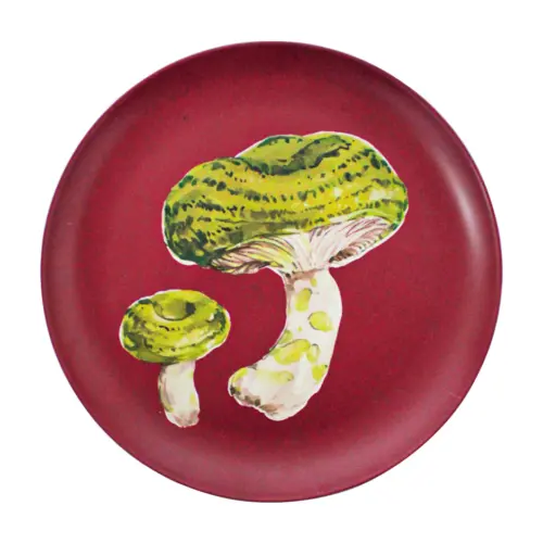 Plato de melamina rojo estampado seta verde de 20.3×20.3×1.9cm