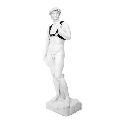 Escultura de David de resina de 23x16x57cm