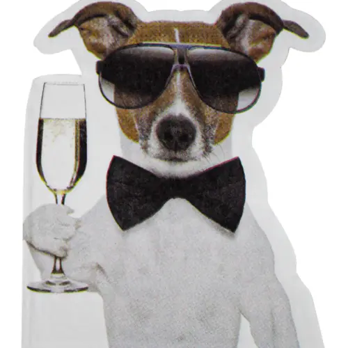 Paquete de servilletas con 12 piezas diseño perros de 25.6×31.5×0.1cm